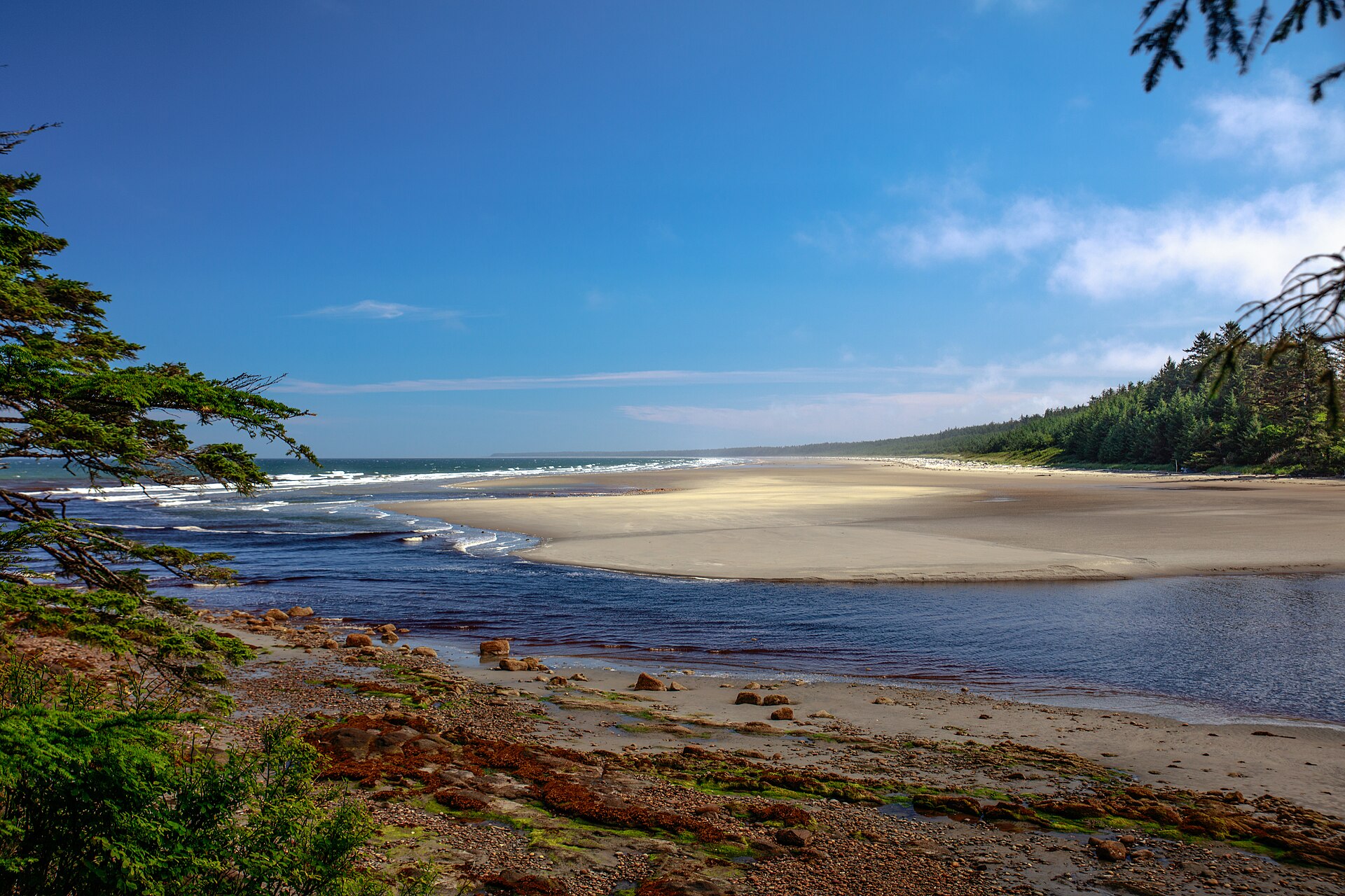 North Beach sweeping into the distance past a river mouth, forest edge on the right (placeholder photo)